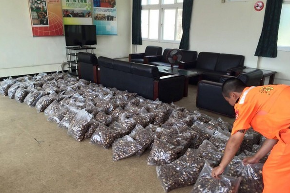 ZAFWQ6EJMW{AA}S8@MTJW[Q