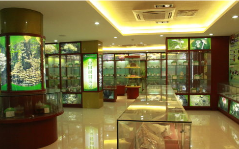 FF1~L6[))3PN1LJBM%7$U~X