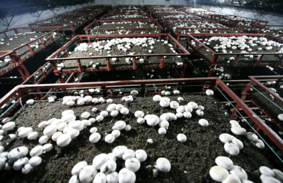 %BK2QKIH0IJ)VZR~(26@KVT