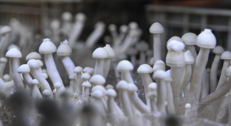 INV7(0KM]TDU}E{D(6VD6(R