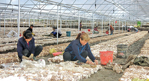 X0BQS0%2A]Z4))844CASFQH