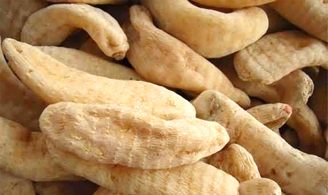 75b52bbe00d7eaaf40f330e98ad33e20 (1)