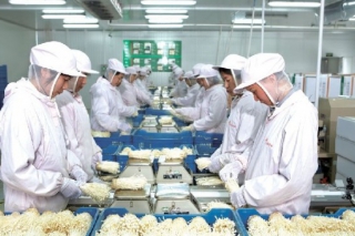 众兴菌业上市：现代农业借力资本市场