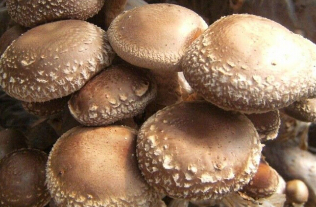 ~4LI)C%5R44~5YQD9VPTWN1