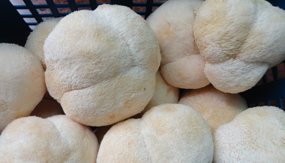 6JBG}BX8)(`7WIV{MJU`[{I