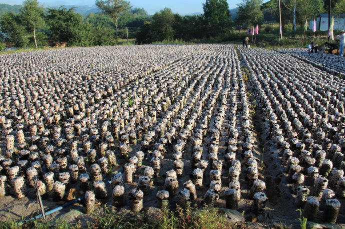 73f442f4ncc2569dd1d7e&690