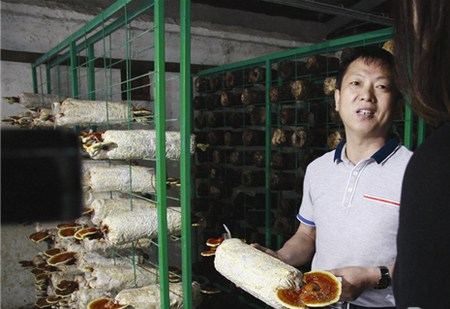 SV)6[FEM12RZ$$[P4$3WETM