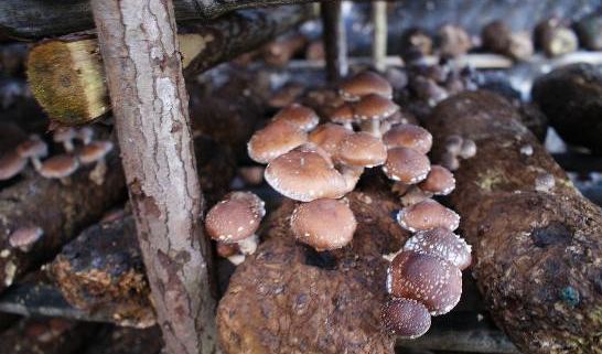 2K7V)64QCBTVJQHJV39V~%O