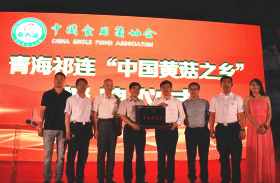 80~F@2S[ND1D_3X00WH_NOL