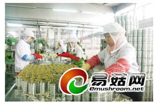 绿宝：订单足 新年忙