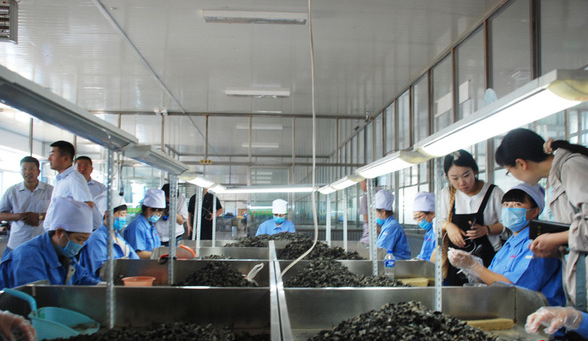 [YUEO{~P)HJHJ1P$S(H[~C3