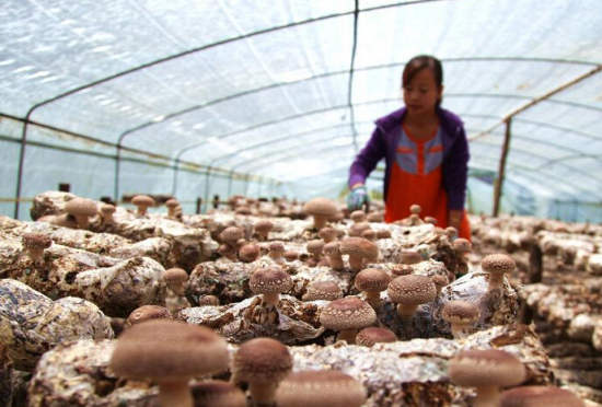 UBN(TCKE2N7VEO$DU7HQG00