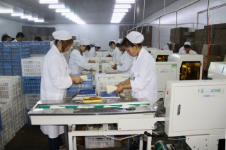 众兴菌业中签结果出炉 共计6.71万个