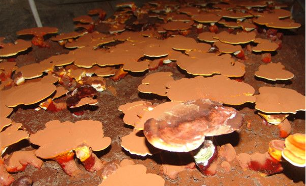 %VN`KP{H4~}(8KNIS(IUTES