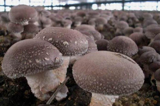 7DRF04X9}CB8GH[H571RAW6