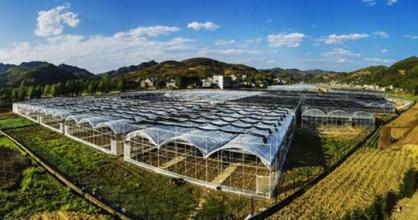 u=377382365,998339223&fm=21&gp=0