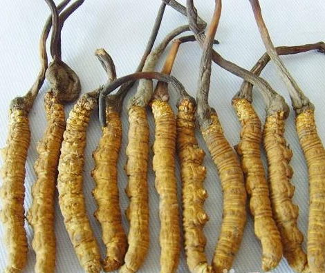 9}F5_0RM6B1JZAD8K0R2@TM