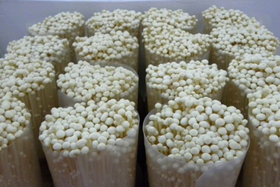 L)LZ0E{OD[}MX_S1L~W%Z7E