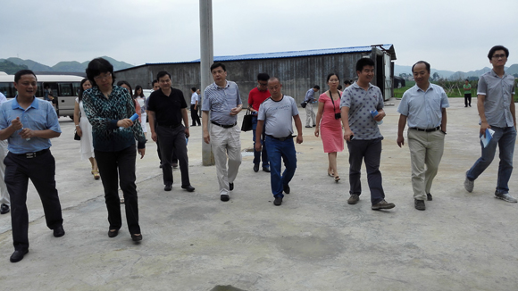 IMG_20150704_144311-