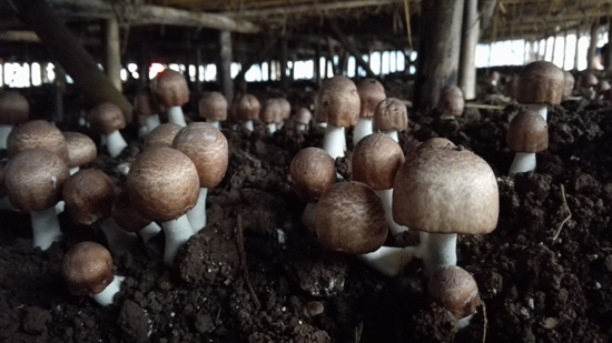 IMG_20150704_145500-