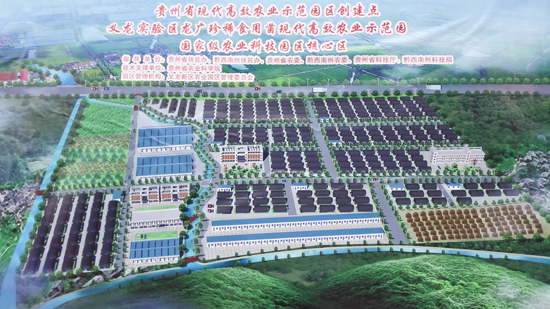 IMG_20150704_145919-