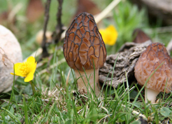 68f95e00g8a1600f78a62&690