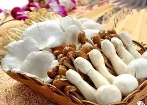 FGGOBUKG}}35917TQWOQ4%H