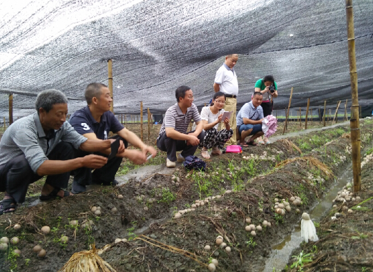 [Z3$$F]DP$1YU~0(54GA%0A