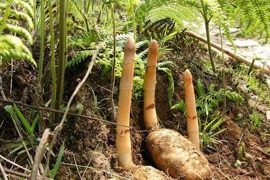 OF5`L071P(5}BV}(8{YQJPK