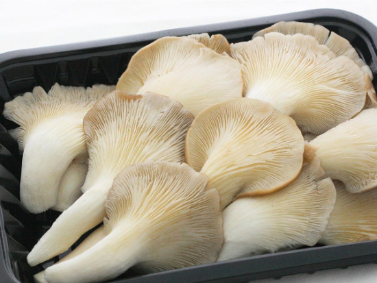 mp21454821_1436178409881_1_th