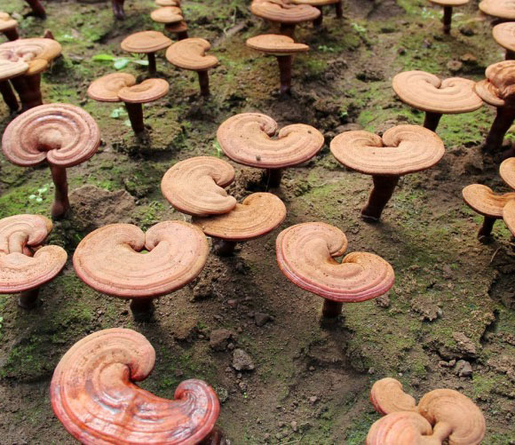 20140802005403_26956