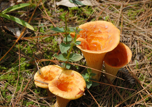 3%QR})RFVDYUQKD8H7}{}(P