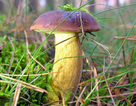 ]%`YZC%0K~VC(}$DT8_BGQB