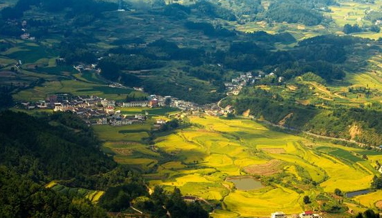 ]B7P18{[10%RUN99)JHR]AL