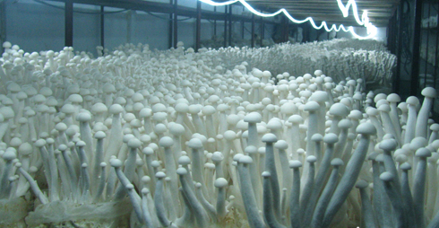 }91}UERA[ZW@W1WQPNAG_]6