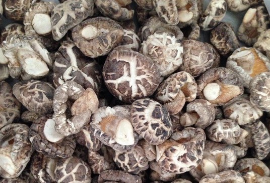 83e9597e77004625adaaa24ea6224fb9 (1)