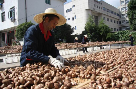 KV4G4Z5V4_3`PX4B4SGX(WL