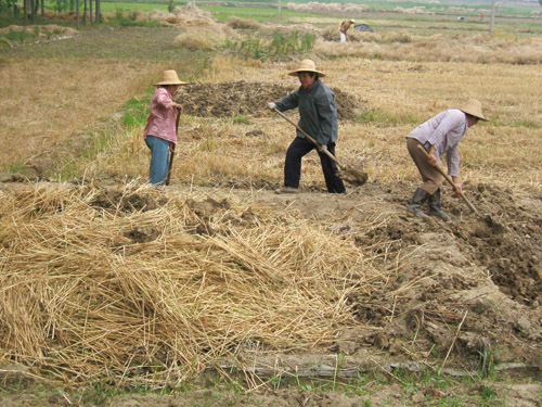 xin_5530607020917343140204