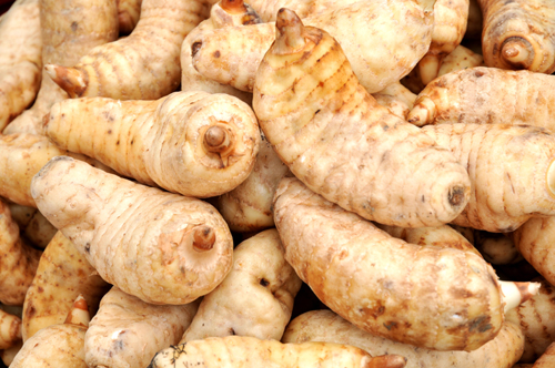 xin_0930908232158812491211