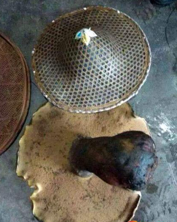 OAHJK9Z45@ROO[5WO8LWPUA