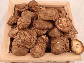 u=3891653143,2258948598&fm=15&gp=0