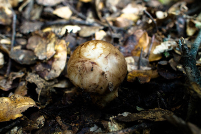 mp23102175_1437090081913_4