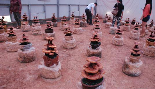 BZN33J2EO@T{]R[6A~M{R}E