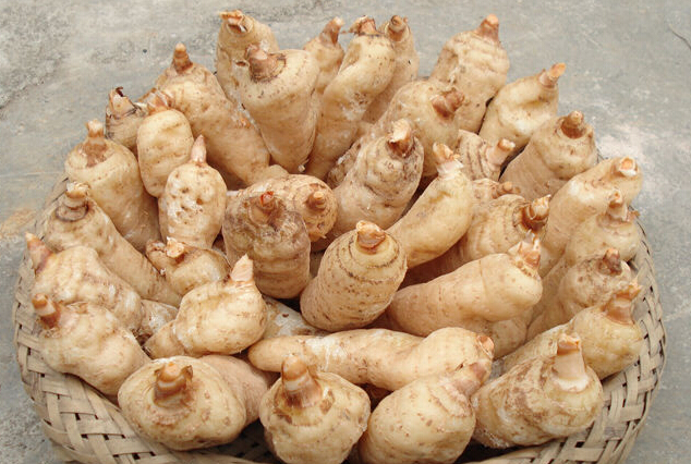 3N$Z45E4WBSRGE~4BB$]DBS