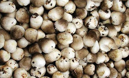 NI(VE535F@P2~B6RZA%~%0P