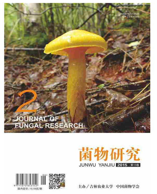 1MG4NDJPYWP_PKJX06%$@EB