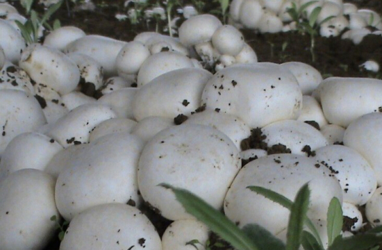 ${`RLKNUZ{QKIZ)O)(`O$WB