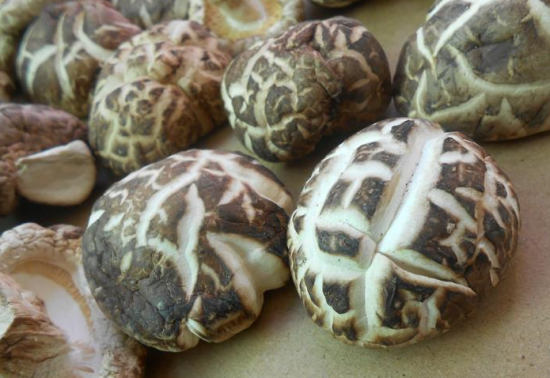 20131204033140_30852