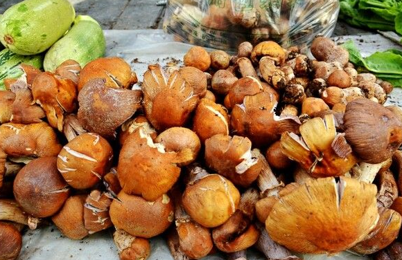 )N~9IHXZ_L6FSL@1XQ3LZO4