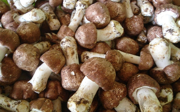 D~A4~}8@G9VN(4LCT0JML1F